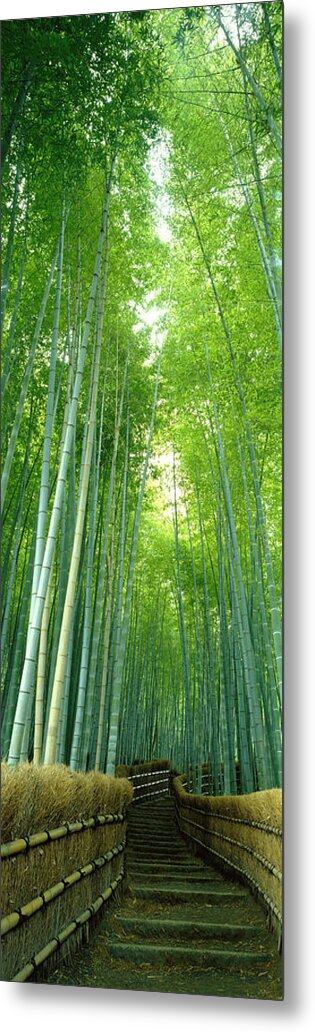 Photography Metal Print featuring the photograph Path Through Bamboo Forest Kyoto Japan by Panoramic Images