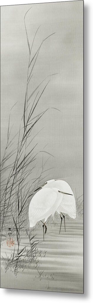 Birds Metal Print featuring the painting Egrets in a swamp by Ohara Koson