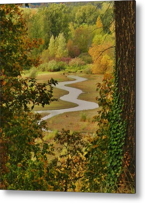 Autumn Metal Print featuring the photograph Autumn Stream 2 #1 by Charles Lucas