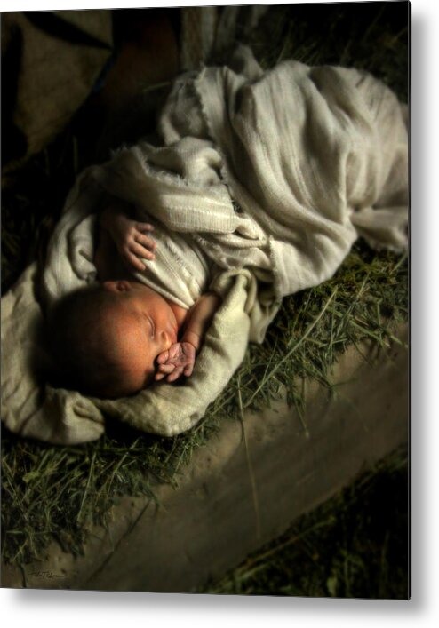 Baby Metal Print featuring the photograph Humble Beginnings #1 by Helen Thomas Robson