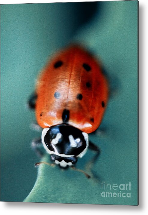 Red Ladybug Metal Print featuring the photograph Ladybug on Green Leaf #2 by Iris Richardson