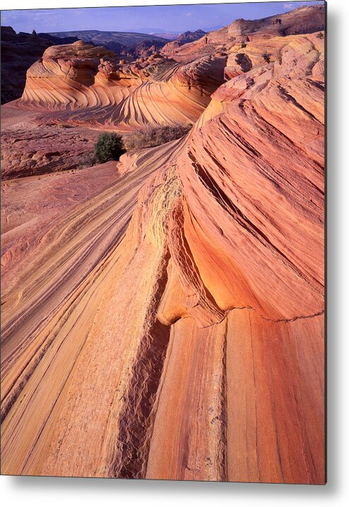 National Park Metal Print featuring the photograph Magenta Wave #1 by Ray Mathis