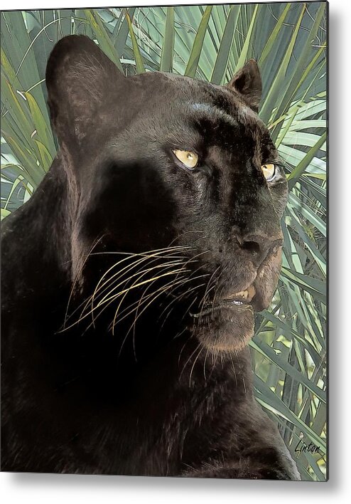 Black Leopard Metal Print featuring the digital art Panther #1 by Larry Linton