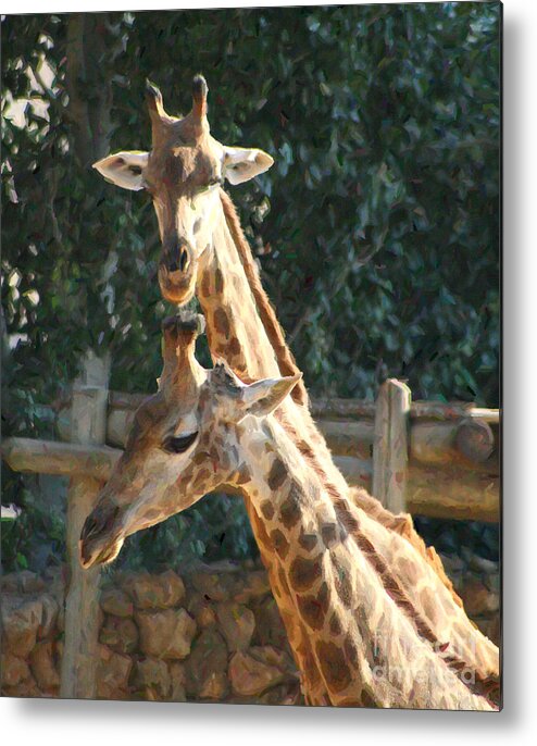 Young Giraffe Family Metal Print featuring the photograph Young Giraffe Family #1 by Doc Braham