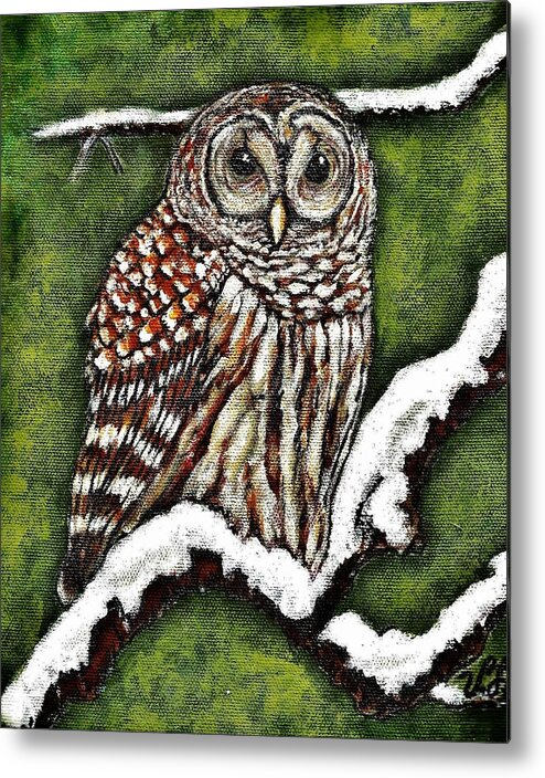 Bird Metal Print featuring the painting Barred Owl by VLee Watson