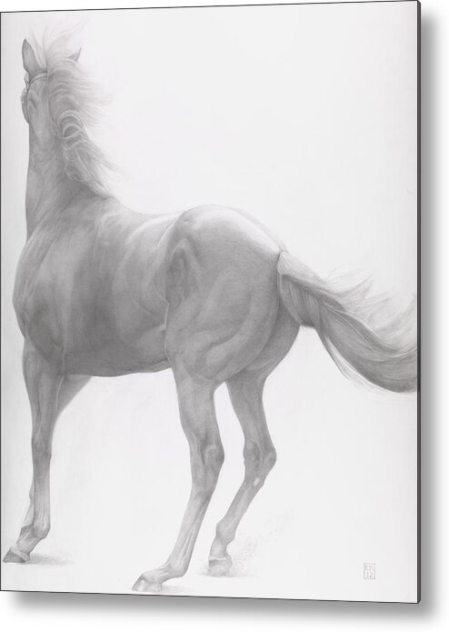 Horse Metal Print featuring the drawing Kicking Off by Emma Kennaway