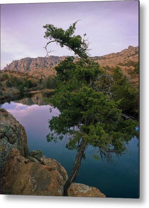 Charron's Gardens Metal Print featuring the photograph Post Oak Lake and Elk Mountain #2 by Richard Smith