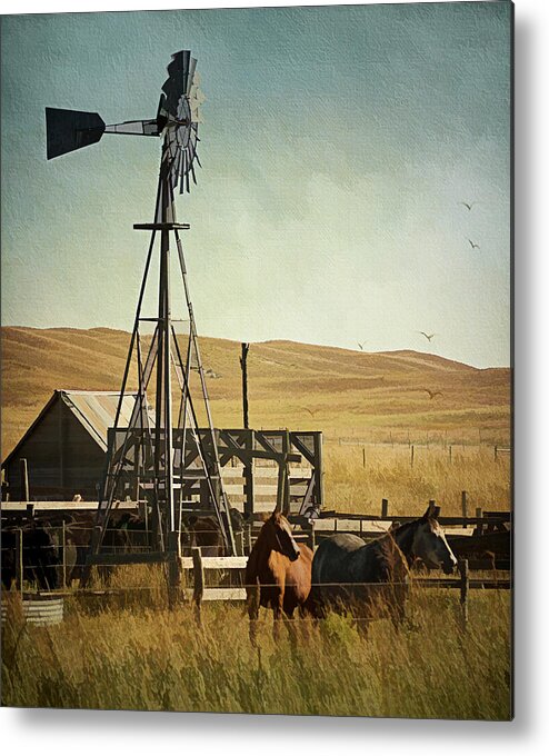 Farm Metal Print featuring the photograph A Beautiful Nebraska Sandhills Farm by Priscilla Burgers
