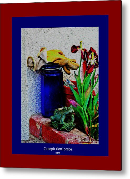 Bullfrog Art Metal Print featuring the digital art A Garden Wide Eyed Frog by Joseph Coulombe
