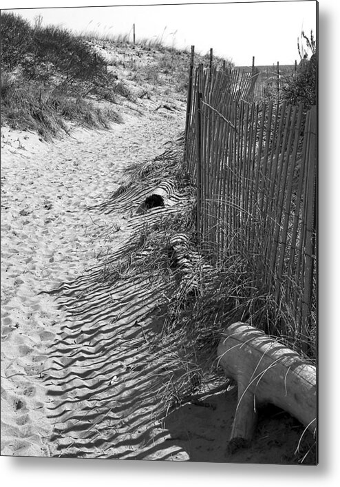 Beach Retaining Fence Metal Print featuring the photograph A Stroll In The Sand by Jeff Folger