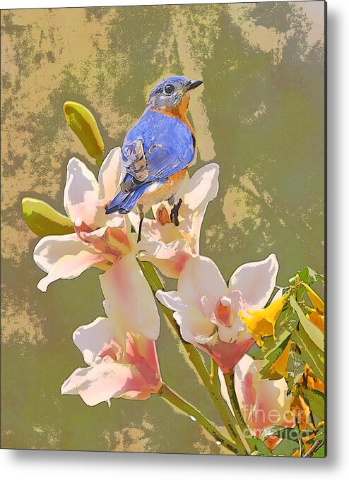 Billy Blue Bird Metal Print featuring the photograph Bluebird on Orchids Artistic photo by Luana K Perez