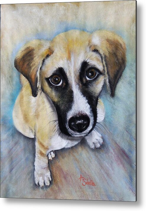 Puppies Metal Print featuring the painting Baby Addie by Annamarie Sidella-Felts