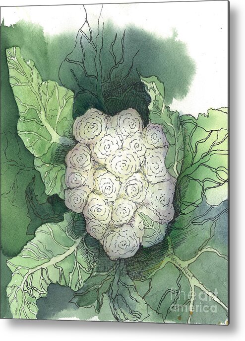 Fresh Plants Metal Print featuring the painting Baby Cauliflower by Maria Hunt