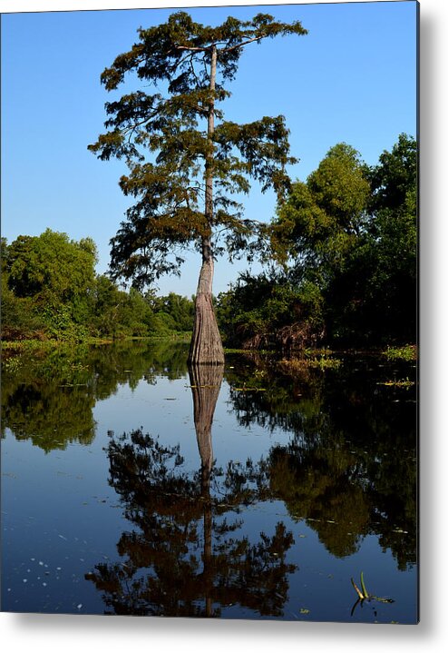 Tree Metal Print featuring the photograph Southern Louisiana Bayou Reflections by Maggy Marsh