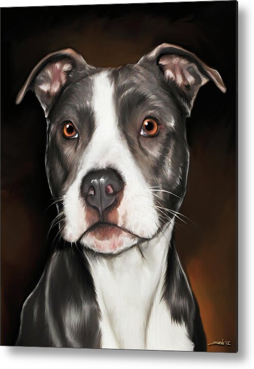 Pit Bull Terrier Metal Print featuring the painting Black and White Pit Bull Terrier by Michael Spano
