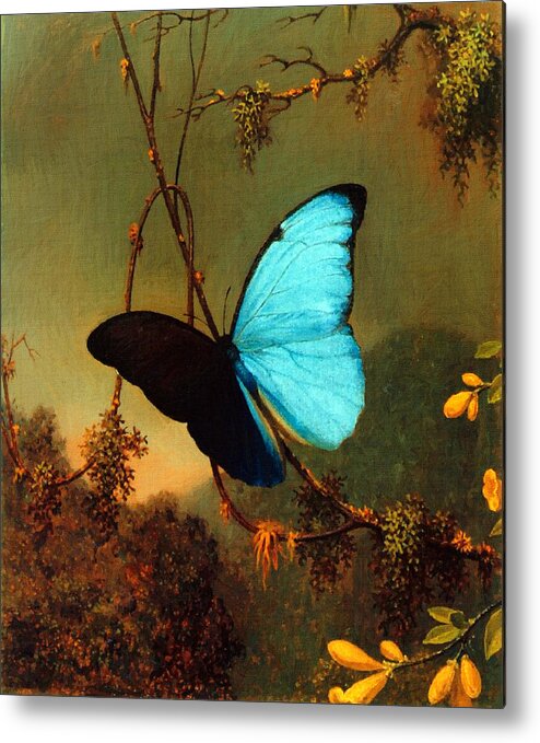 Martin Johnson Heade Metal Print featuring the painting Blue Morpho Butterfly by Martin Johnson Heade