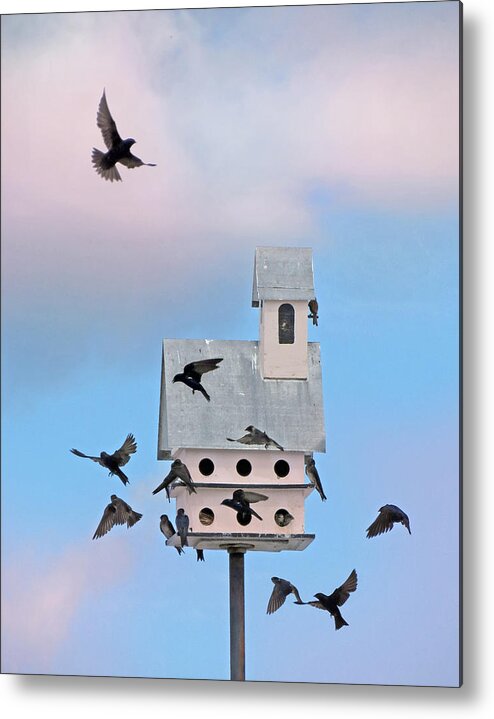 Birds Metal Print featuring the photograph Brealfast at the Martin House by Deborah Smith