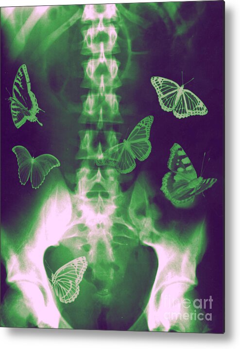 Butterflies Metal Print featuring the photograph Butterflies in the stomach by Guy Viner