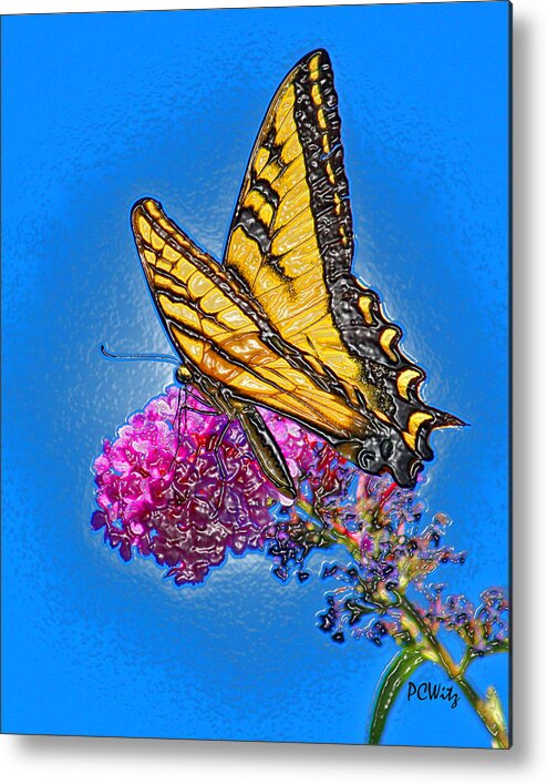 Butterfly Metal Print featuring the photograph Butterfly by Patrick Witz