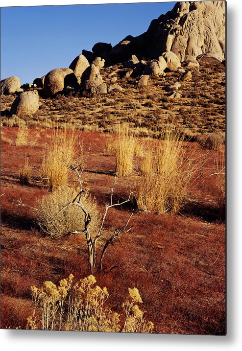 California Metal Print featuring the photograph Buttermilks - Red Brush by Tom Daniel