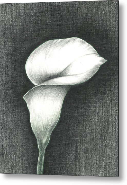 Calla Lily Metal Print featuring the photograph Calla Lily by Troy Levesque