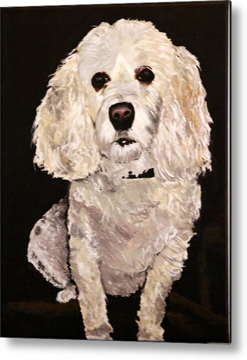 Cockapoo Metal Print featuring the painting Channel by Betty-Anne McDonald