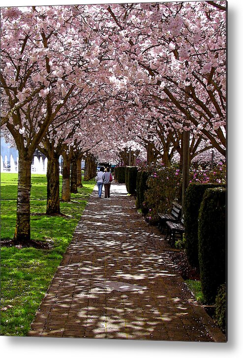 Cherry Trees Metal Print featuring the digital art Cherry Blossom Friends by Gary Olsen-Hasek