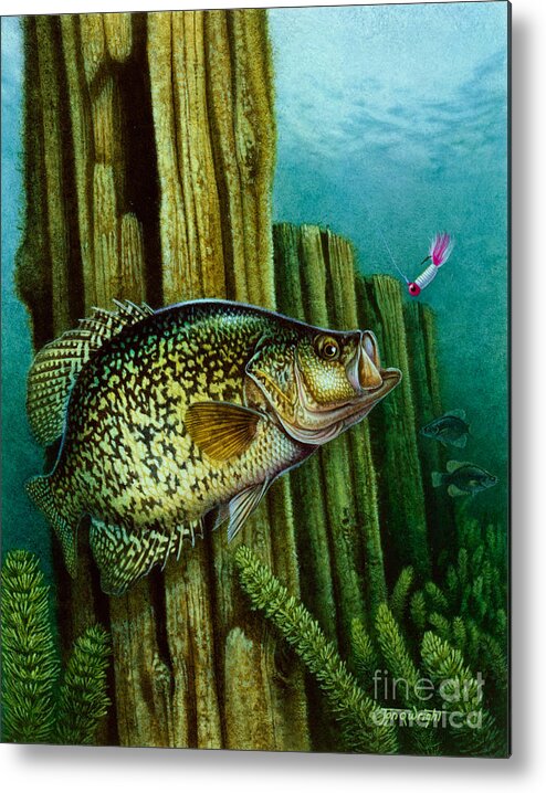 Jon Q Wright Metal Print featuring the painting Crappie and Posts by JQ Licensing