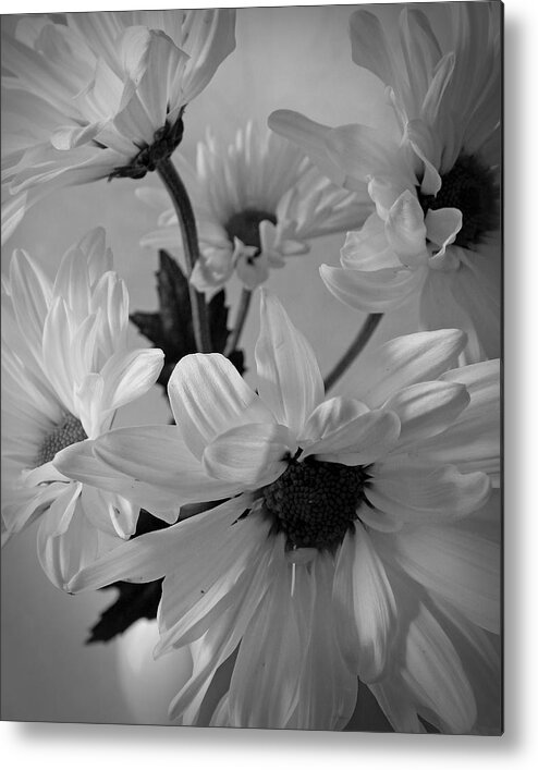 Flowers Metal Print featuring the photograph Daisies I Still Life Flower Art Poster by Lily Malor