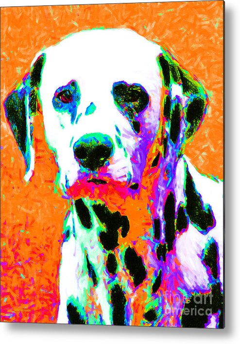 Animal Metal Print featuring the photograph Dalmation Dog 20130125v2 by Wingsdomain Art and Photography