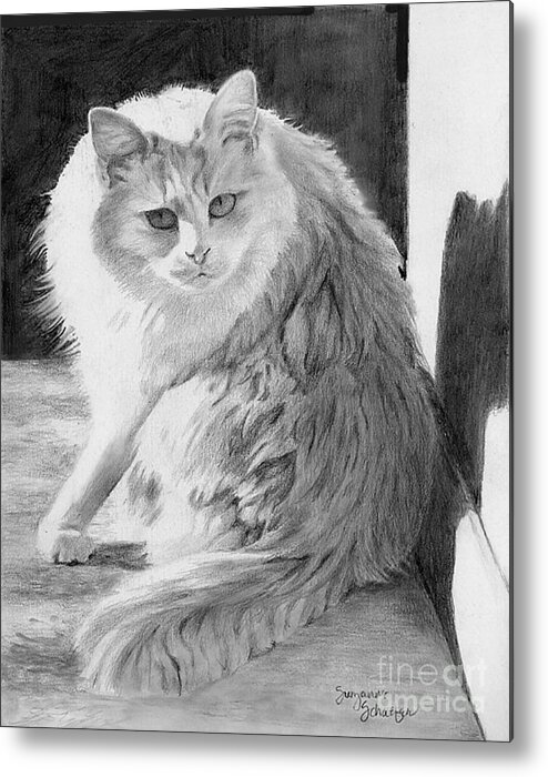 Cat Drawing Metal Print featuring the drawing Dare Me by Suzanne Schaefer