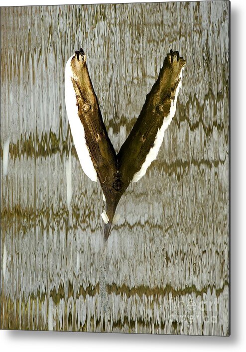 Abstract Metal Print featuring the photograph Eagle Wings by Marcia Lee Jones