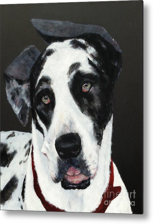 Portrait Of A Harlequin Great Dane Who Has Been Rescued Metal Print featuring the painting Emma by Mary Lynne Powers
