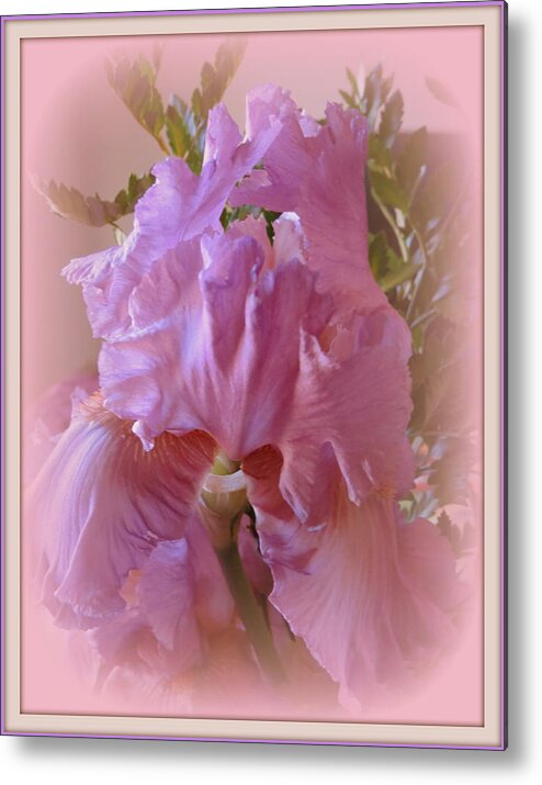 Pink Metal Print featuring the photograph Exotic Iris by Kay Novy