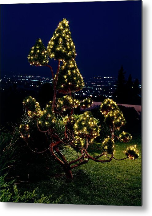 Holiday Metal Print featuring the photograph Fairy Lights In A Tree by Leland Y. Lee