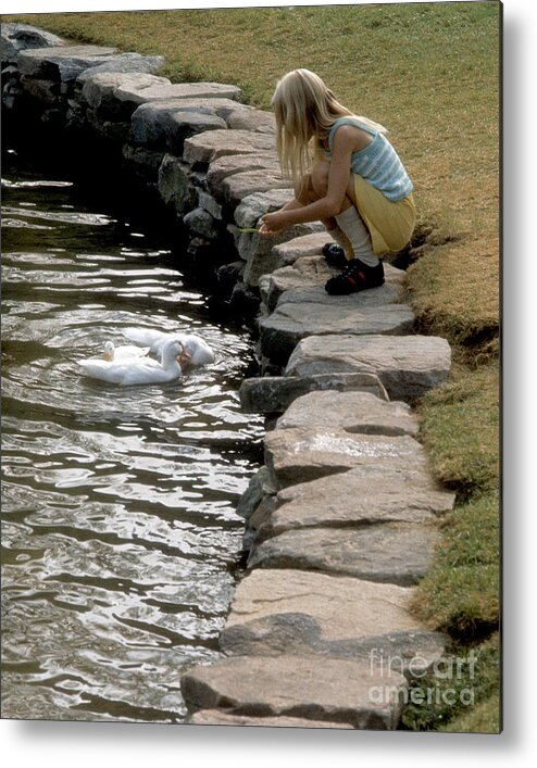 Young Metal Print featuring the photograph Feeding the Ducks by ELDavis Photography