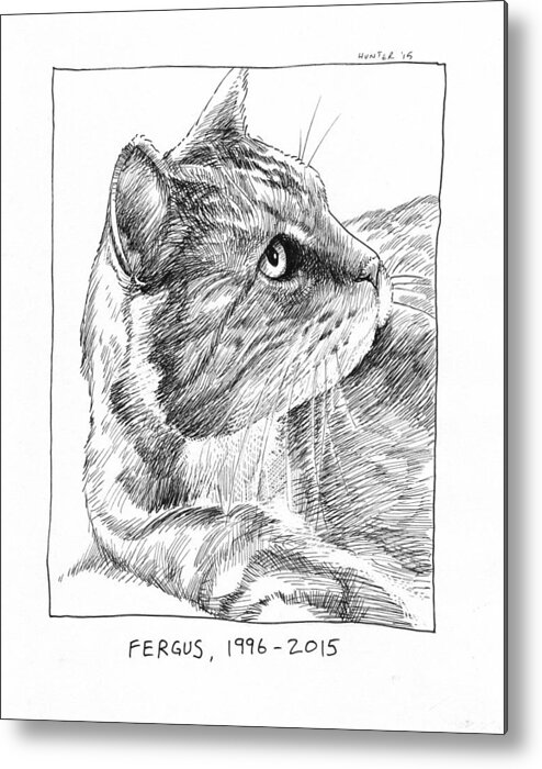 Steve Hunter Creates Art Kitten Cat Fergus Ink Metal Print featuring the painting Fergus by Steve Hunter