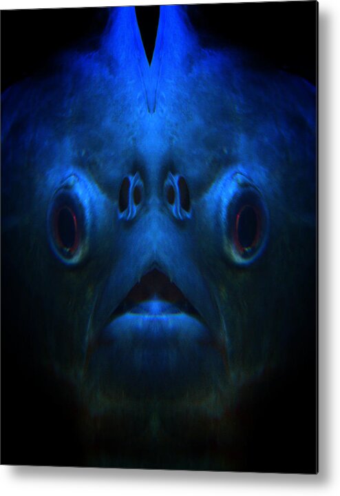 Composite Metal Print featuring the photograph Fish Face by Jim Painter