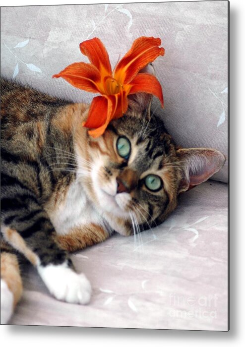 #cat #feline #calico Metal Print featuring the photograph Flower In My Hair by Kathleen Struckle