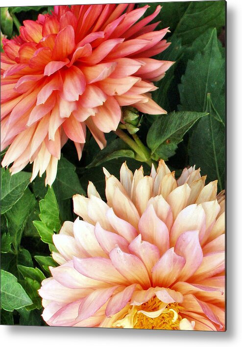 Flowers Metal Print featuring the photograph Flowers...warm Breeze by Tom Druin