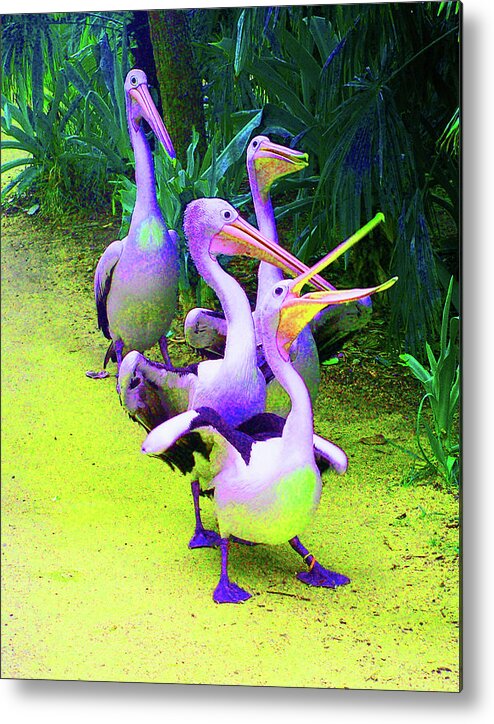 Pelican Metal Print featuring the photograph Fluorescent Pelicans by Margaret Saheed