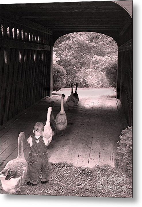 Photographic Landscapes Metal Print featuring the photograph Follow the Leader by Mary Lou Chmura