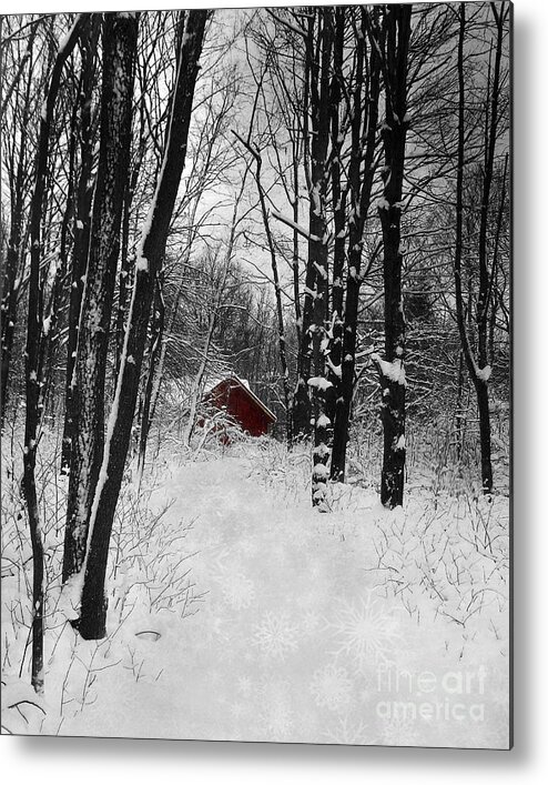Snowflakes Metal Print featuring the photograph Follow The Snowflake Trail by Kathi Mirto