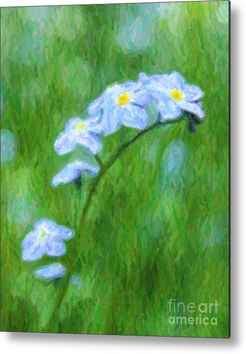 Forget Me Not Metal Print featuring the digital art Forget me not Myostis by Liz Leyden