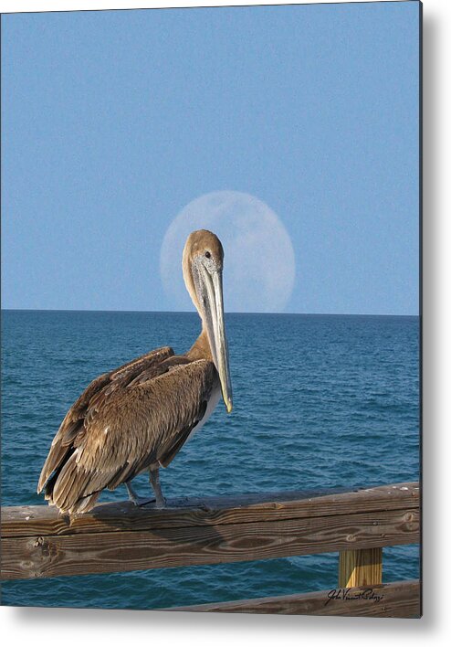 Palozzi Metal Print featuring the digital art Full Moon Pelican by John Vincent Palozzi