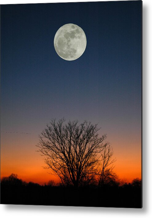 Full Moon Metal Print featuring the photograph Full Moon Rising by Raymond Salani III