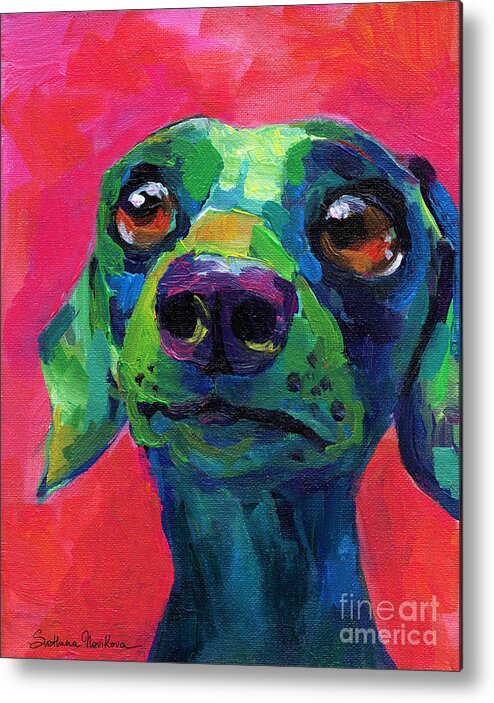 Dachshund Dog Metal Print featuring the painting Funny dachshund weiner dog by Svetlana Novikova