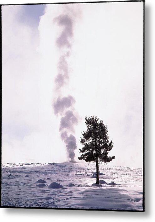 Old Faithful Metal Print featuring the photograph Geyser In Winter by Simon Fraser/science Photo Library