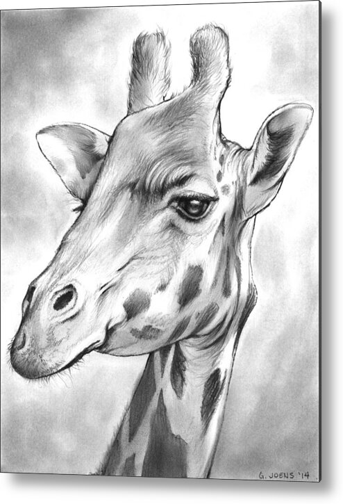 Giraffe Metal Print featuring the drawing Giraffe by Greg Joens