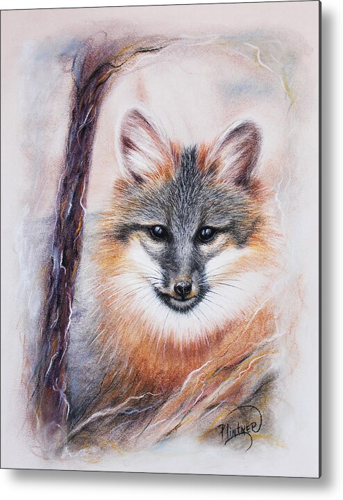 Gray Fox Metal Print featuring the drawing Gray Fox by Patricia Lintner